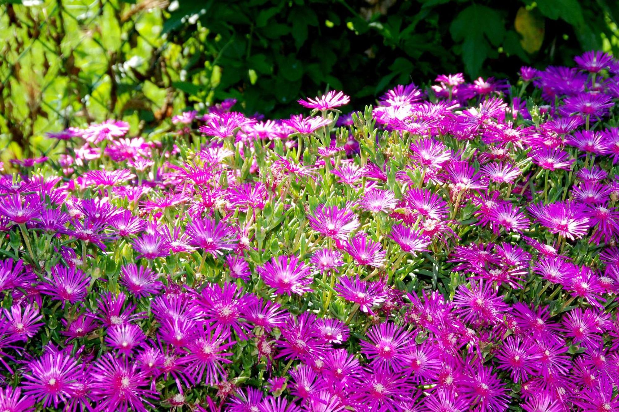 Agriturismo-R&B Corte Dei Gioghi Ferrara Exteriér fotografie